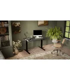 Desk MOON black body / anthracite tabletop order